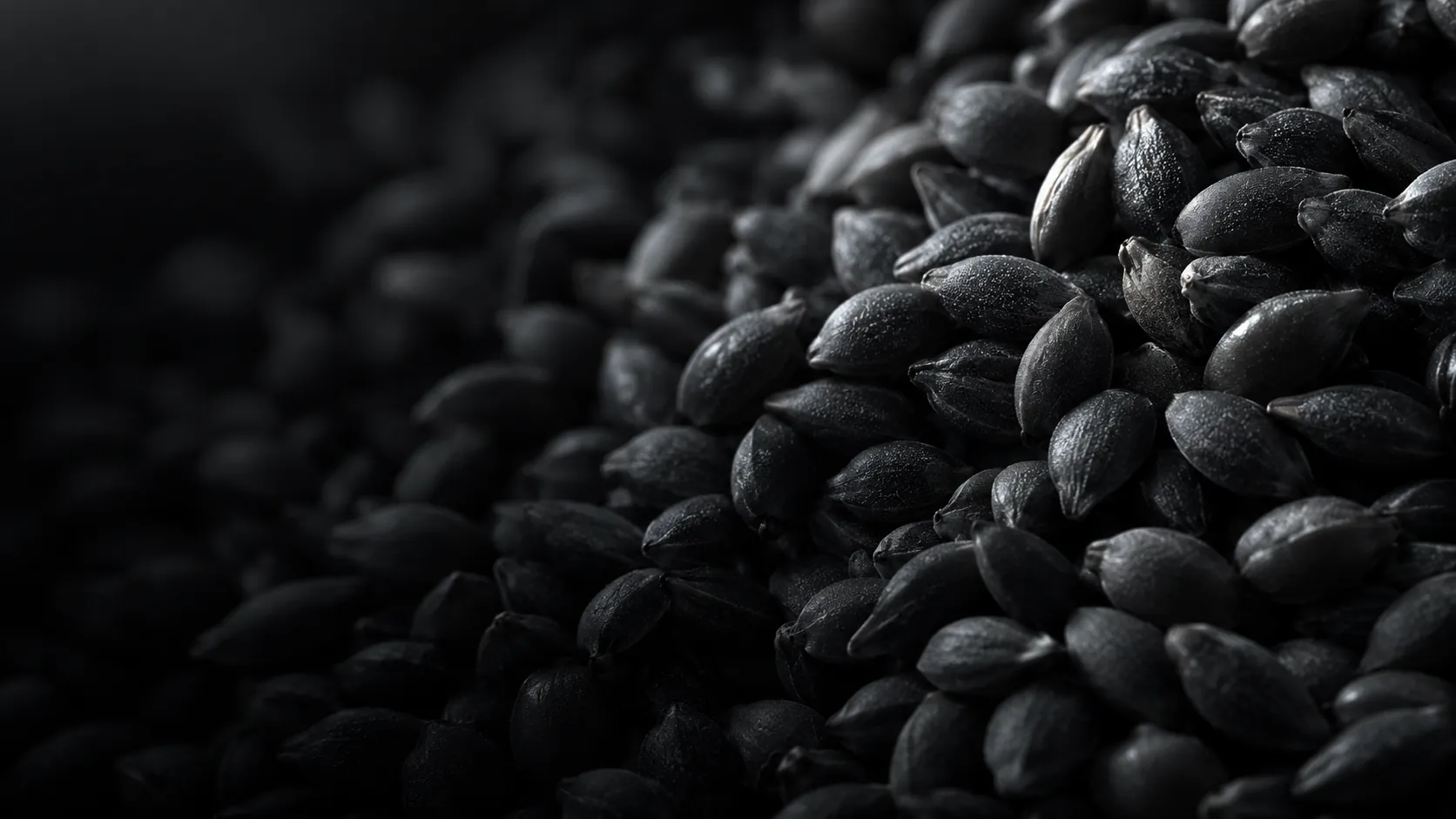Seeds, for agrochemicals and crop protection.