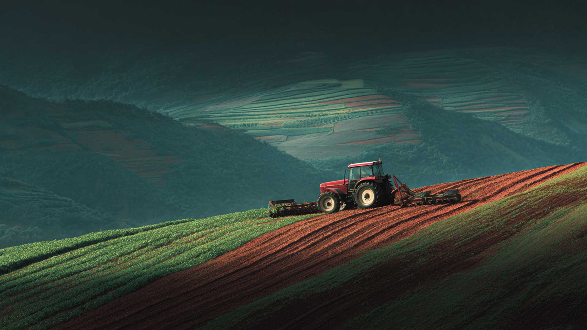 Tractor in a field