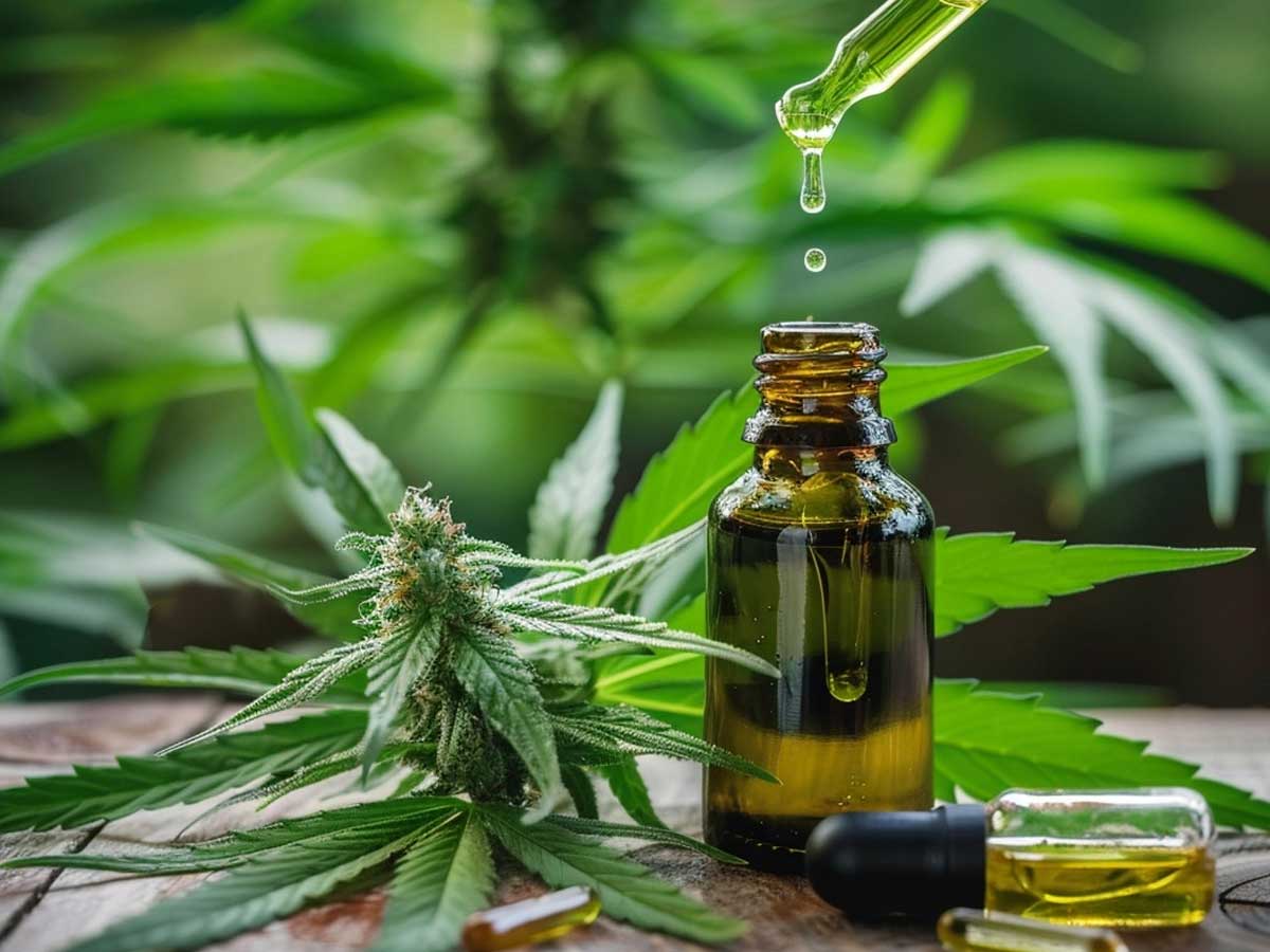 CBD Oil