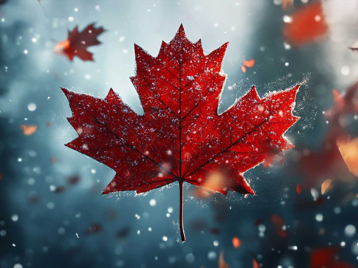 Canada maple leaf