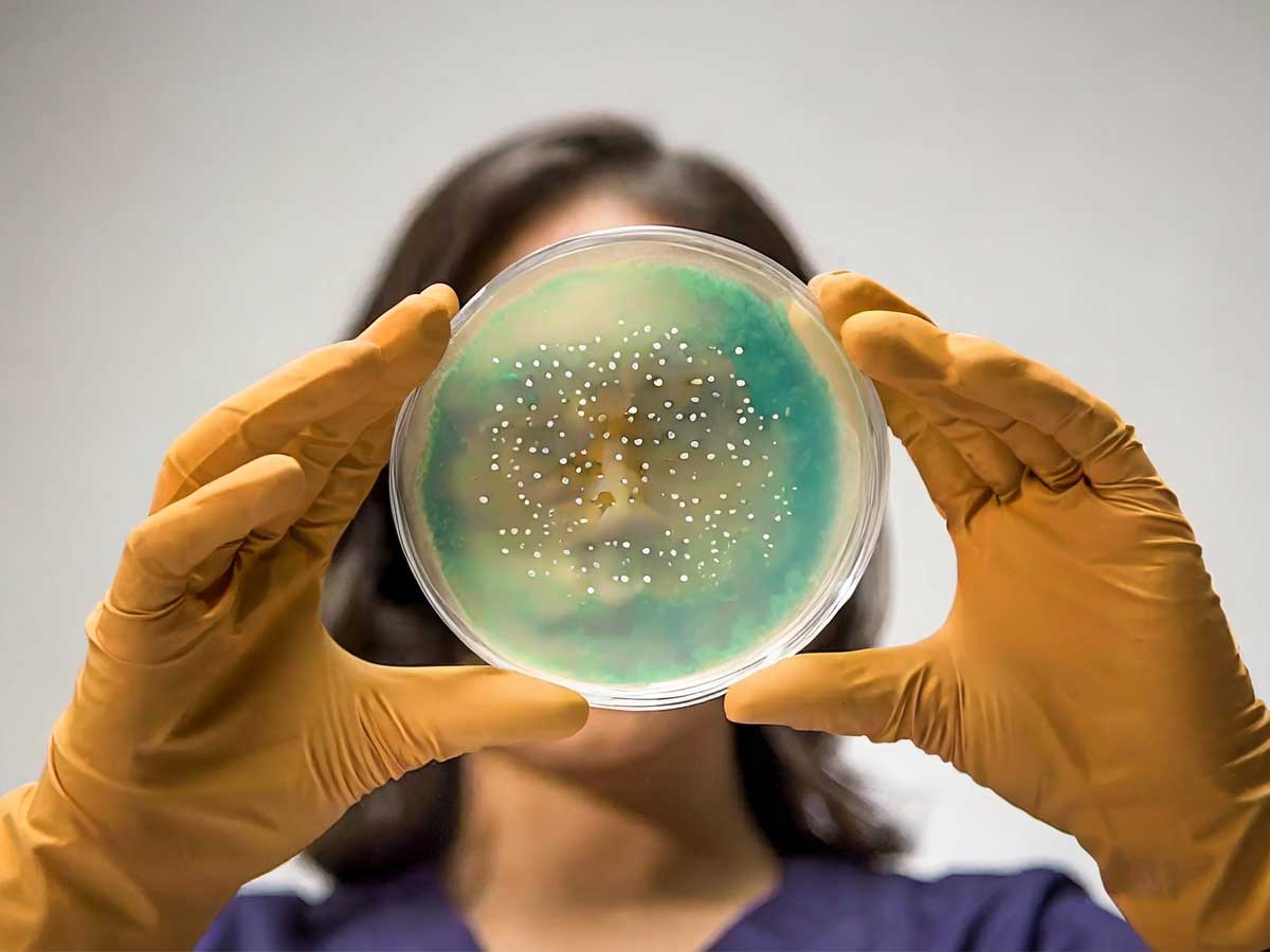 Woman holding up a petri dish and examining it