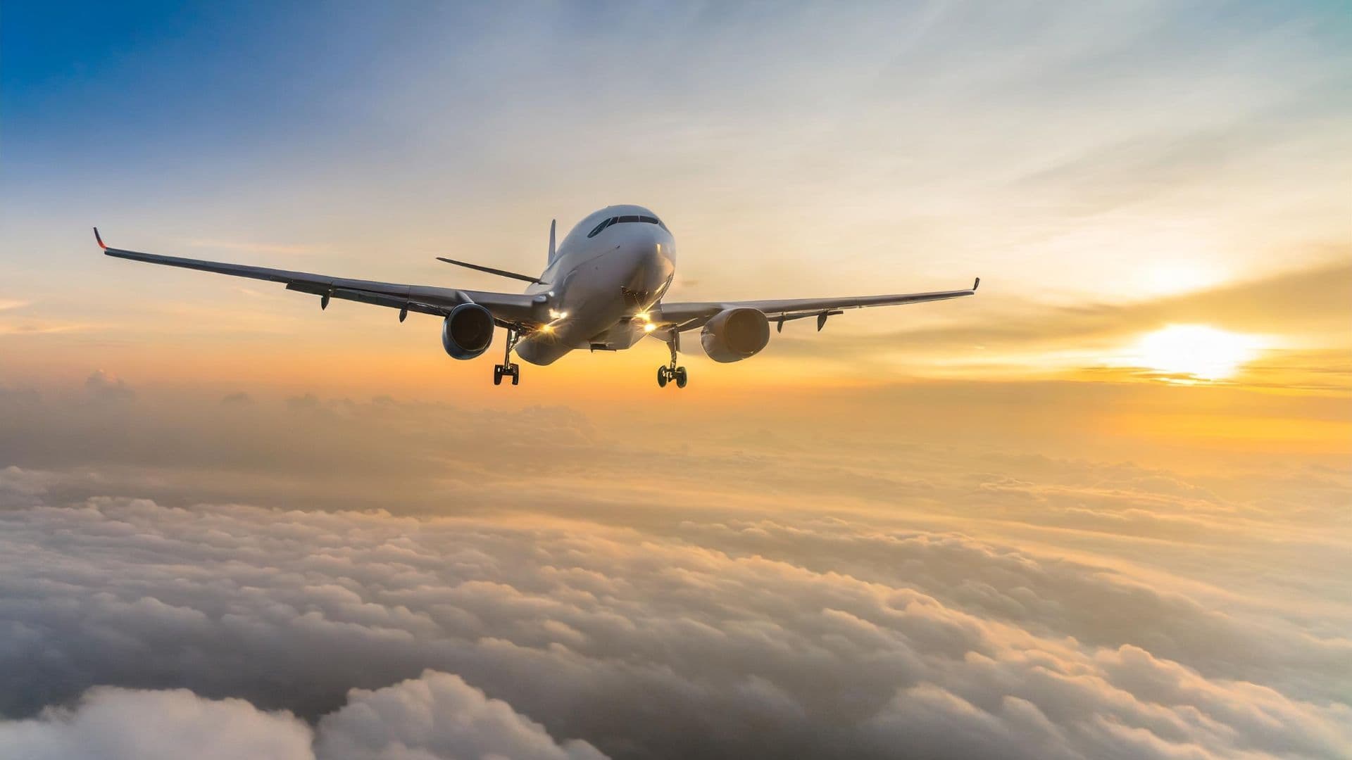 Plane in the sky