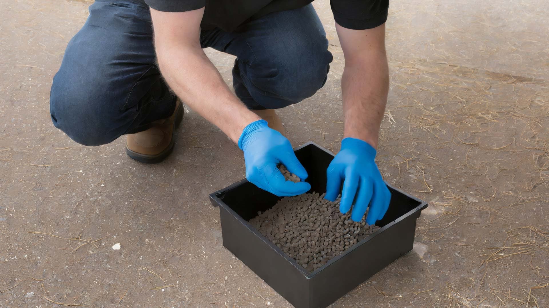 Man with blue gloves handling rat poison
