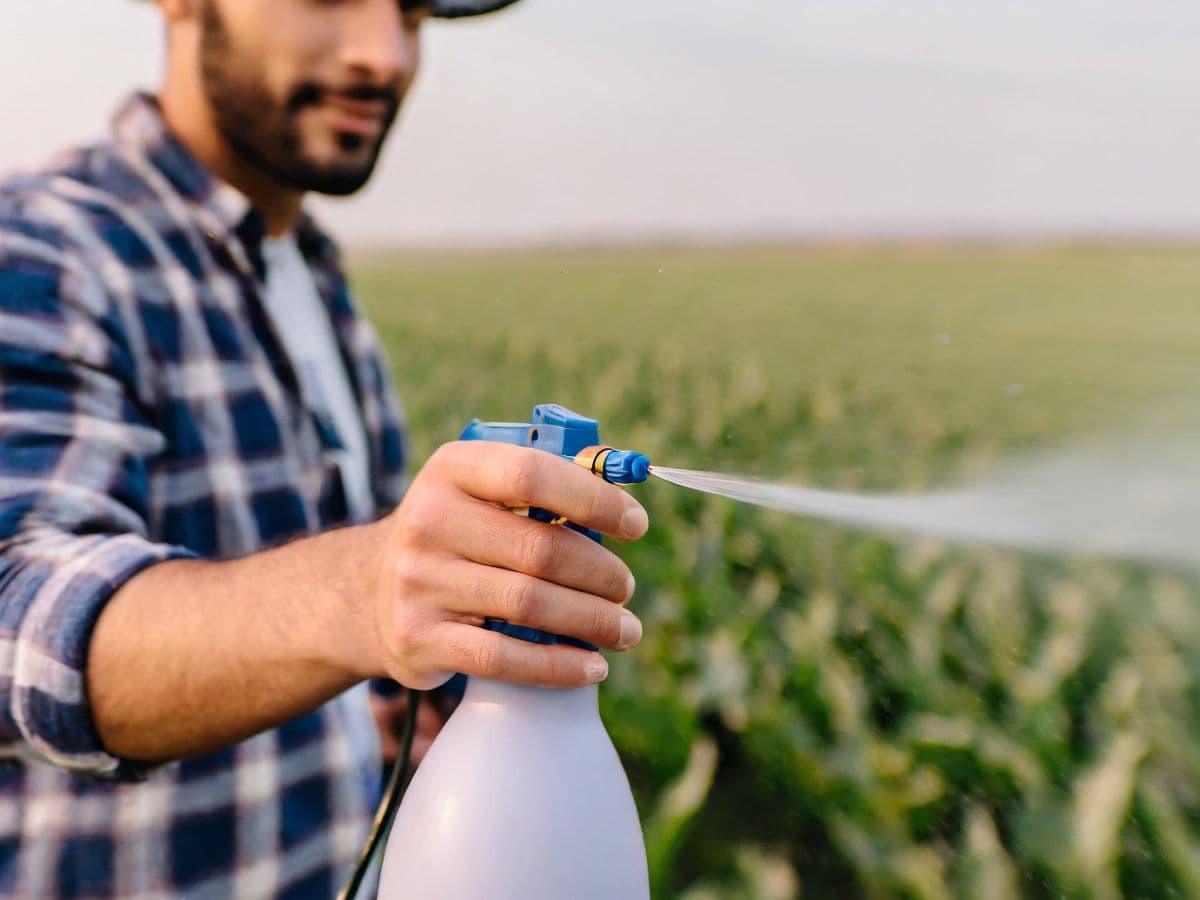 Farmer spraying crops in a green field