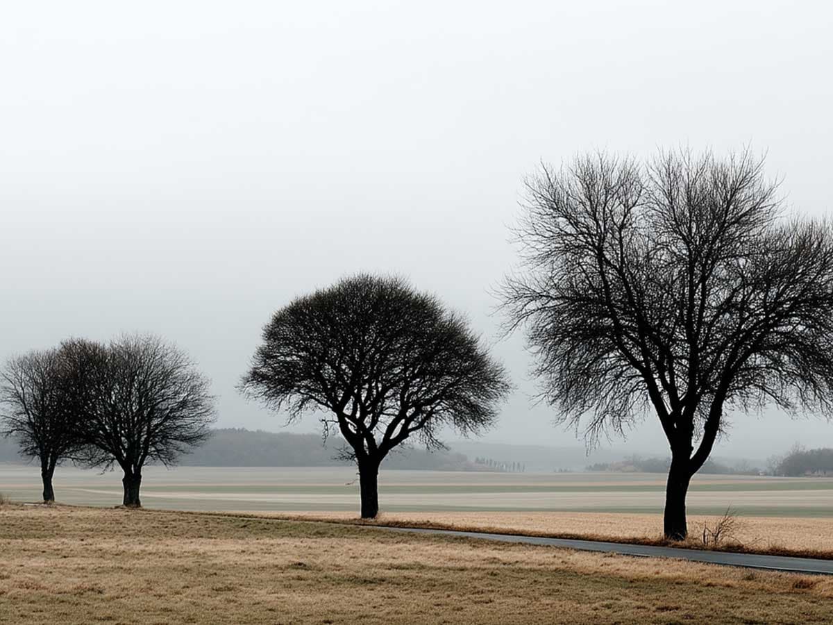 German trees