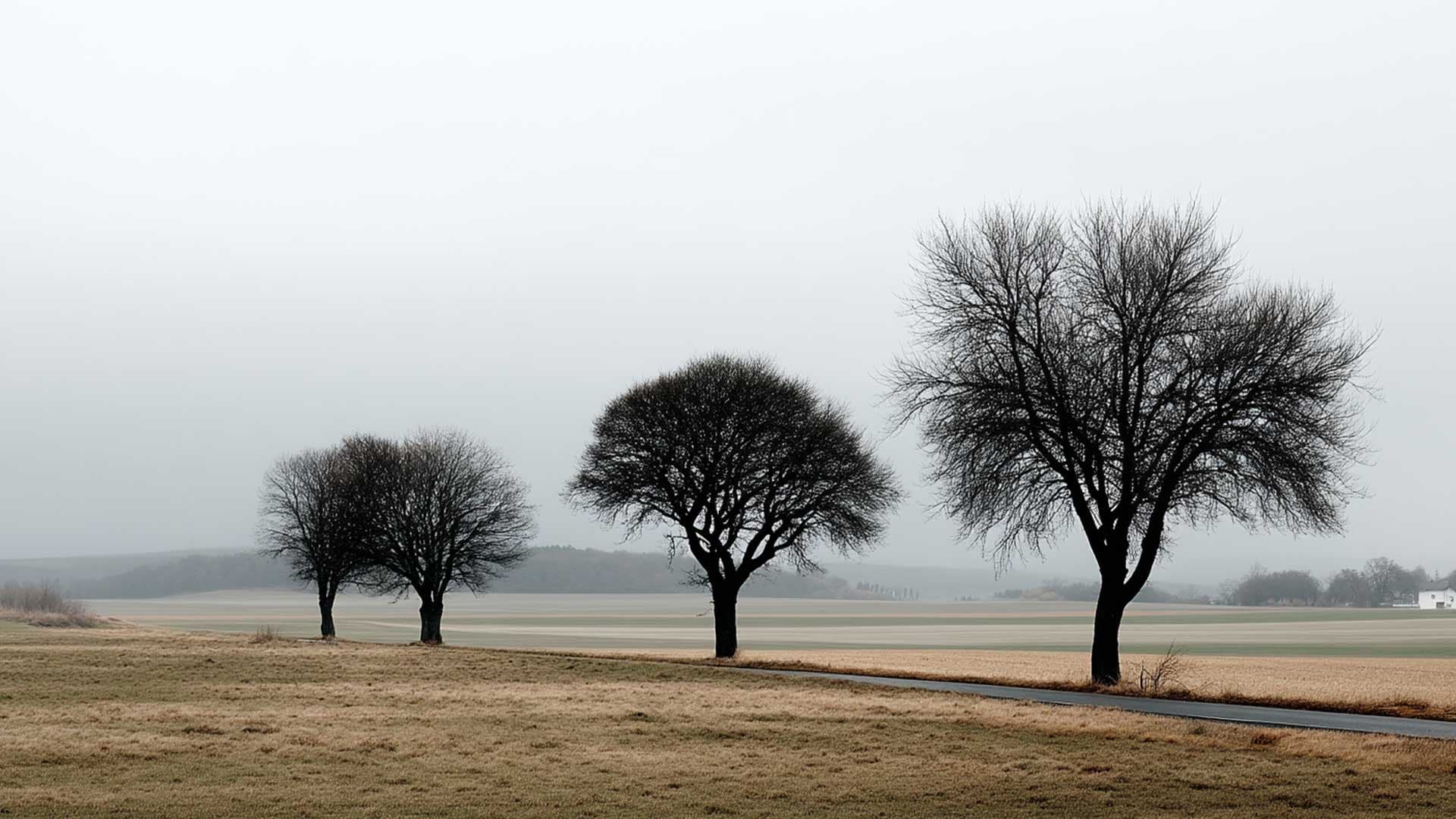 German trees